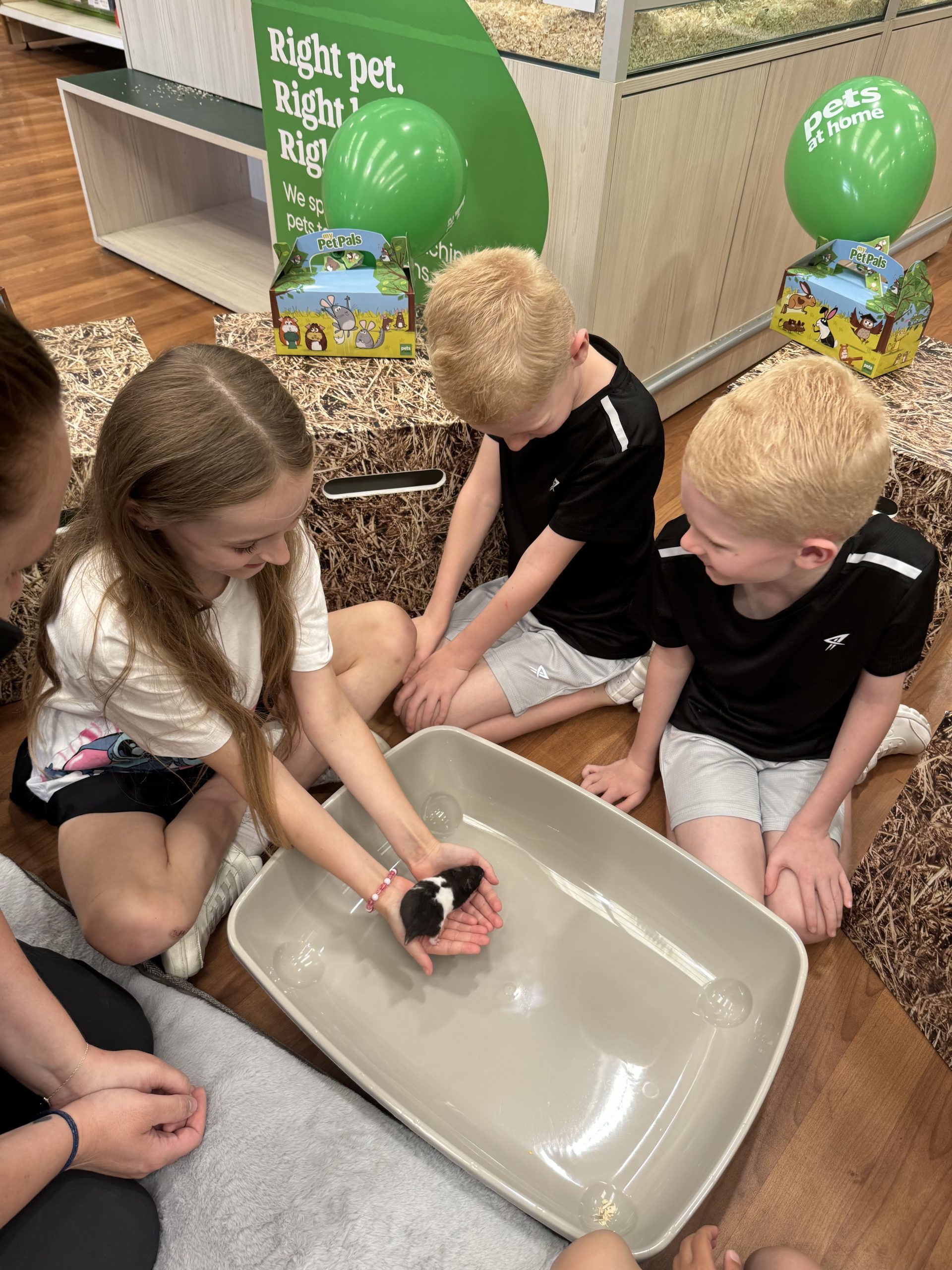 Free Family Activities in Liverpool – Easter Half Term 2026