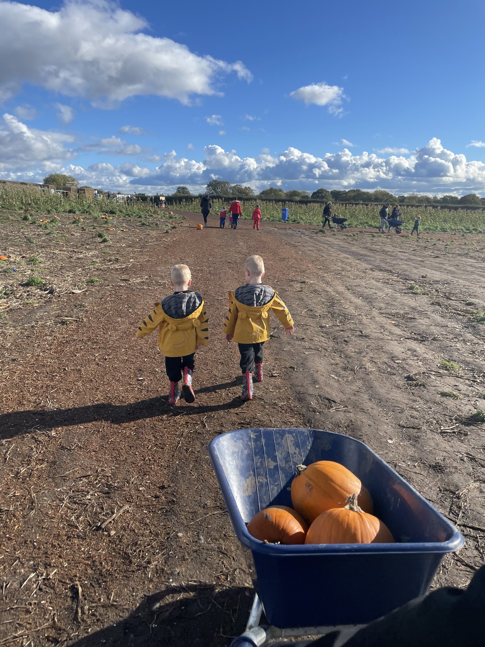 2026 North West Pumpkin Patches & Pumpkin Picking